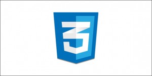 logo_css3mesh